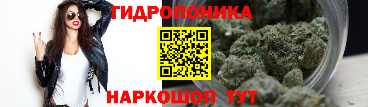 Бошки марихуана планчик Кудымкар